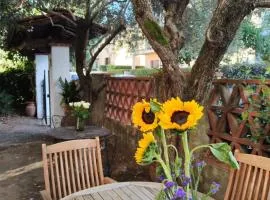 Gabri House Art gallery b&b