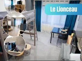 Le Lionceau, Proche ville, Fibre&Netflix, Parking