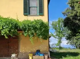 Il Vivaio