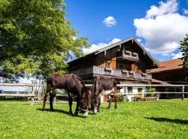Thalerbauer Ferienwohnungen