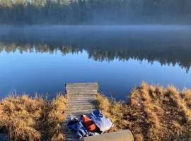 Energy place in the woods 30 min from Oslo