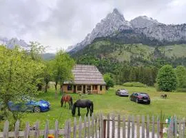 Bujtina 2