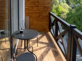 Vila Ferdinand - Apartament Iarina