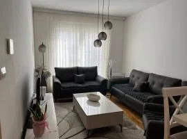 Cozy Central Apartment Nikšić