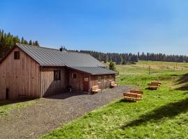 Apartmány Jelení vrch, serviced apartment in Nové Hamry