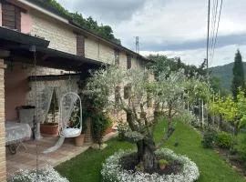 B&B Il Poggetto