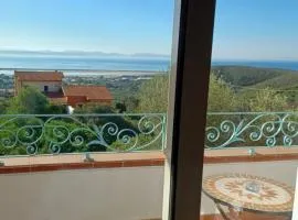 Buena Vista