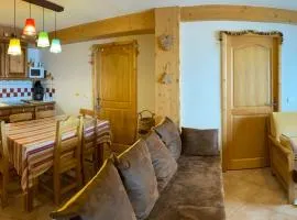 Appartement lumineux 8 pers avec piscine et parking près des pistes à Villard-sur-Doron - FR-1-293-363