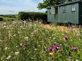 1 Bed in Hayfield 87592
