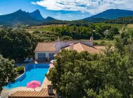 Mas de Cala - Gîtes avec piscine au Pic Saint-Loup