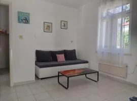 Downtown Seafront apartment