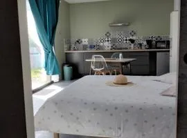 Charmant Studio climatisé 200m Voie verte, 500m des commerces