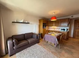 Appartement cosy 4 pers, proche pistes, tout équipé - FR-1-293-405