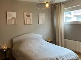 Coloc Chambre privée meublée dans un appartement lumineux et spacieux