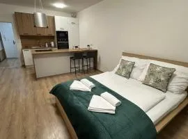 Sunny apartment BRNO