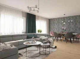 Relaxare modernă în Timișoara casă cu birou parcare și WiFi, aproape de obiective