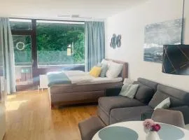 Apartment Bergliebe Bad Goisern