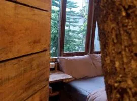 Miva Nest Da Lat