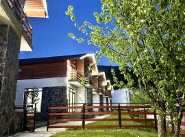 Villa Mtashi、バクリアニのホテル