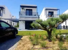 House Viki