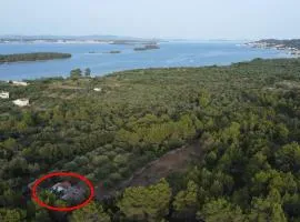 Secluded holiday house Pasman - 15649