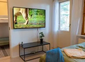 Cosy one bedroom apartment with balcony