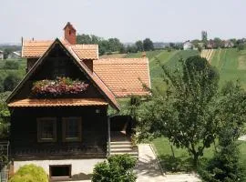 Apartments with parking space Marusevec, Zagorje - 23936