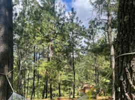 Caba&ntilde;a Amaia en Tapalpa Jalisco, вілла у місті Тапальпа