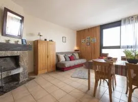 Appartement à Saint Lary, proche pistes, animaux admis - FR-1-296-519