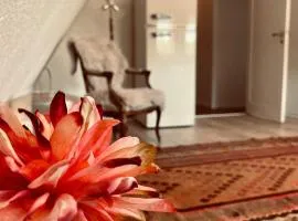 Charming rooftop apartment in Uhre