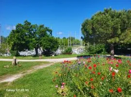 Le grenier a sel