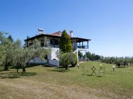 ZeusPlace Olympus Olive Country House 2