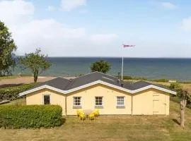 3 Bedroom Nice Home In Brenderup Fyn