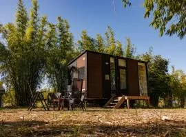 Bamboo Grove by Tiny Away