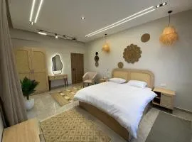 New Cairo Chic Studio 2