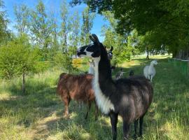 The Llama Farm France, glamping site in Saint-Cyr-les-Champagnes
