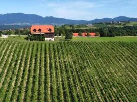 Rooms Bolfan Vinski Vrh