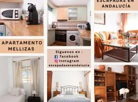 Las Mellizas