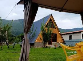 Forest hut
