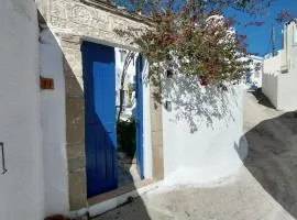 Clive and Bifi's house