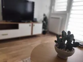 Apartment Sandra