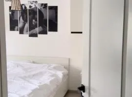 Cozy apartment