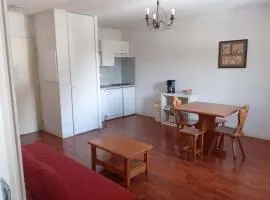 Appartement 2 pièces pour 4 avec piscine, proche Saint-Lary-Soulan et navette télécabine - FR-1-504-272