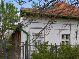 Anna Falusi Vendégház Sarud