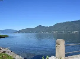 Buena Vista