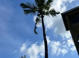 Diani forest lodge