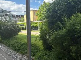 Am Hohentwielblick