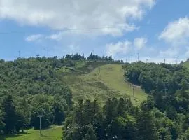 Studio central proche remontées mécaniques - FR-1-814-117