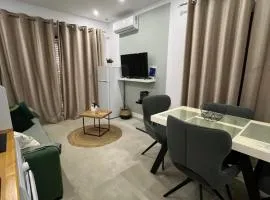Apartment Artemis