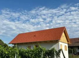 Modernes Kellerstöckl im Südburgenland